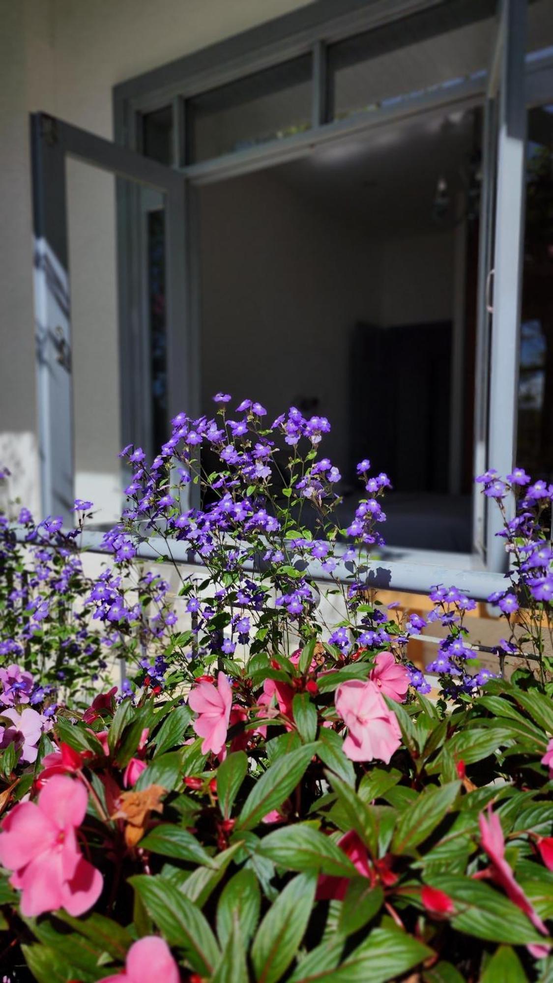 Tia Du Villa Homestay Da Lat Esterno foto