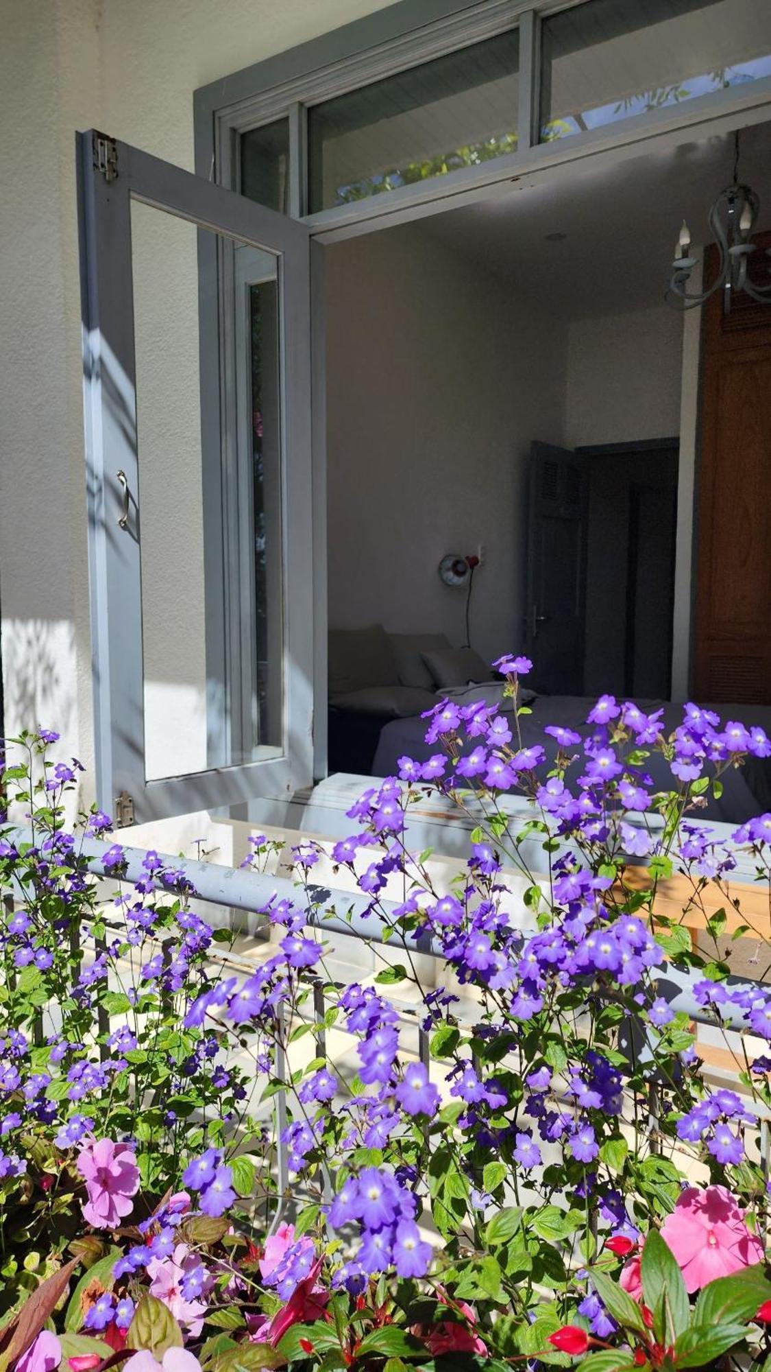 Tia Du Villa Homestay Da Lat Esterno foto