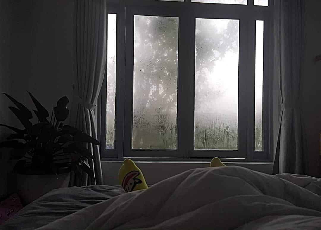 Tia Du Villa Homestay Da Lat Esterno foto