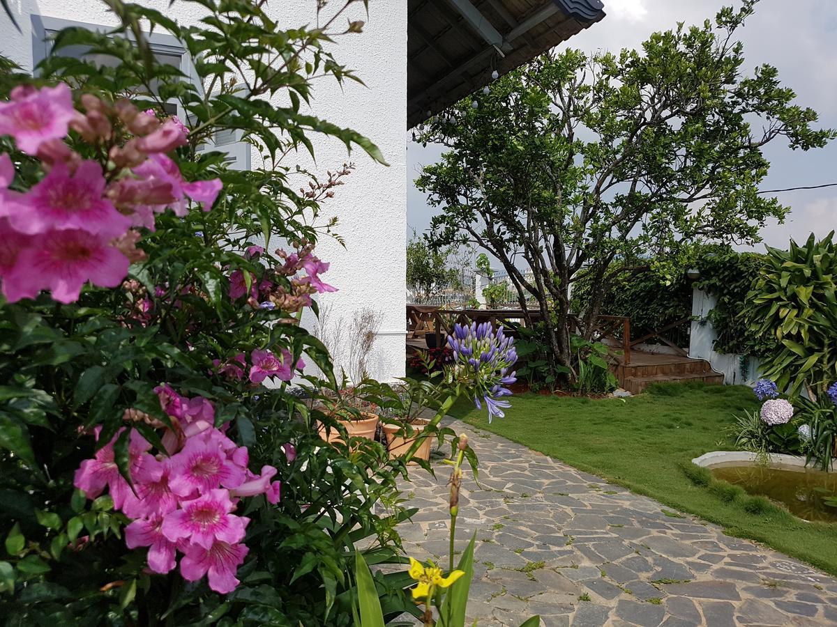 Tia Du Villa Homestay Da Lat Esterno foto